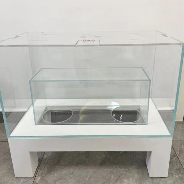 cat view fish tank with white stand